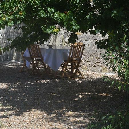 Gite Dans Le Vignoble De Bourgueil Le Port Boulet Exterior foto