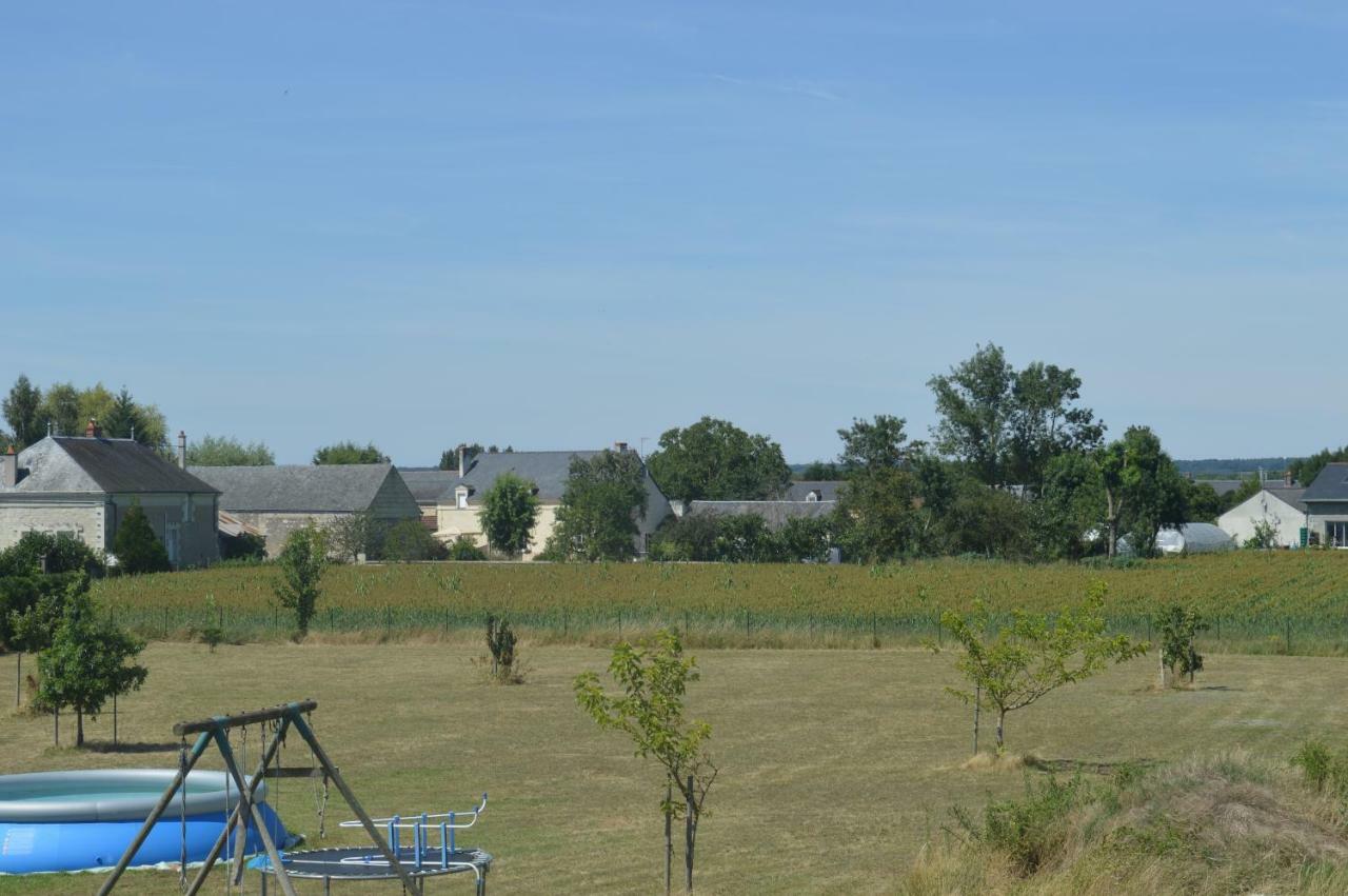 Gite Dans Le Vignoble De Bourgueil Le Port Boulet Exterior foto