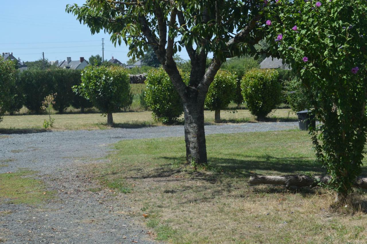 Gite Dans Le Vignoble De Bourgueil Le Port Boulet Exterior foto