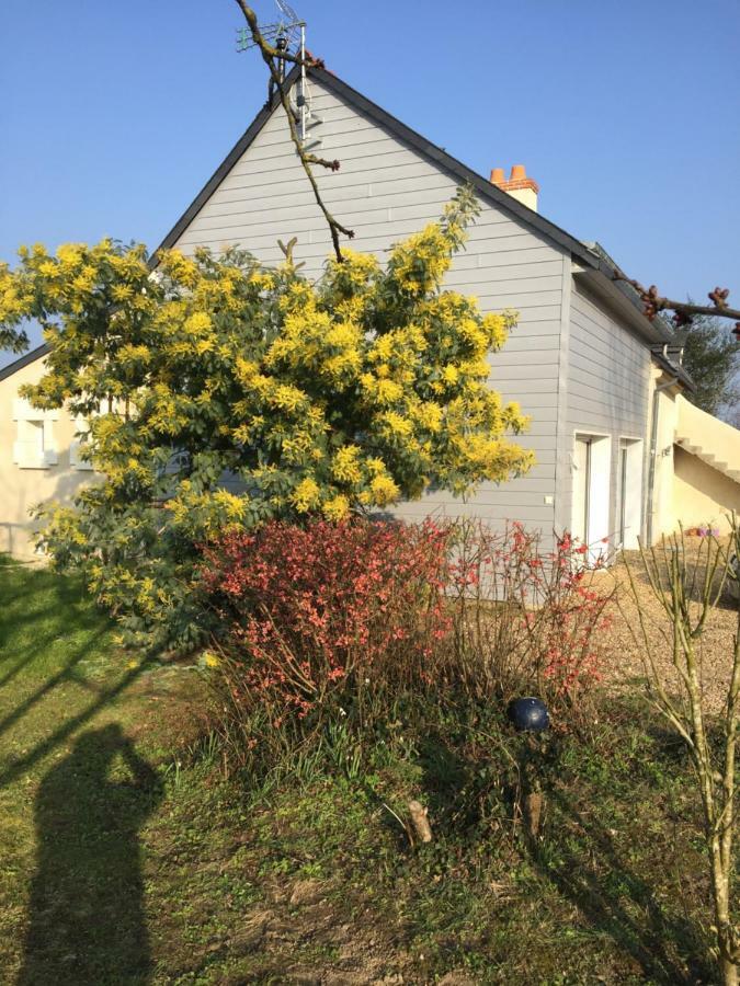 Gite Dans Le Vignoble De Bourgueil Le Port Boulet Exterior foto